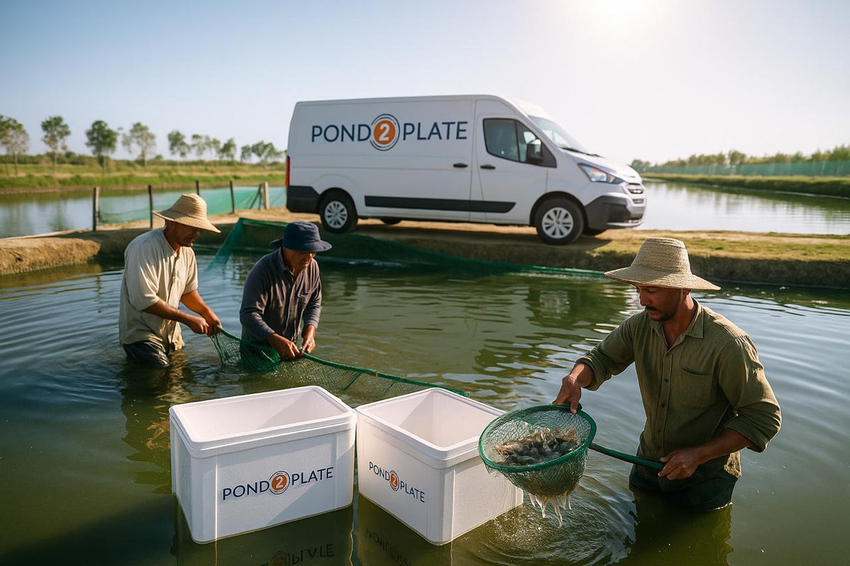The Journey of Pond2Plate – From Pond to Your Plate in 24 Hours